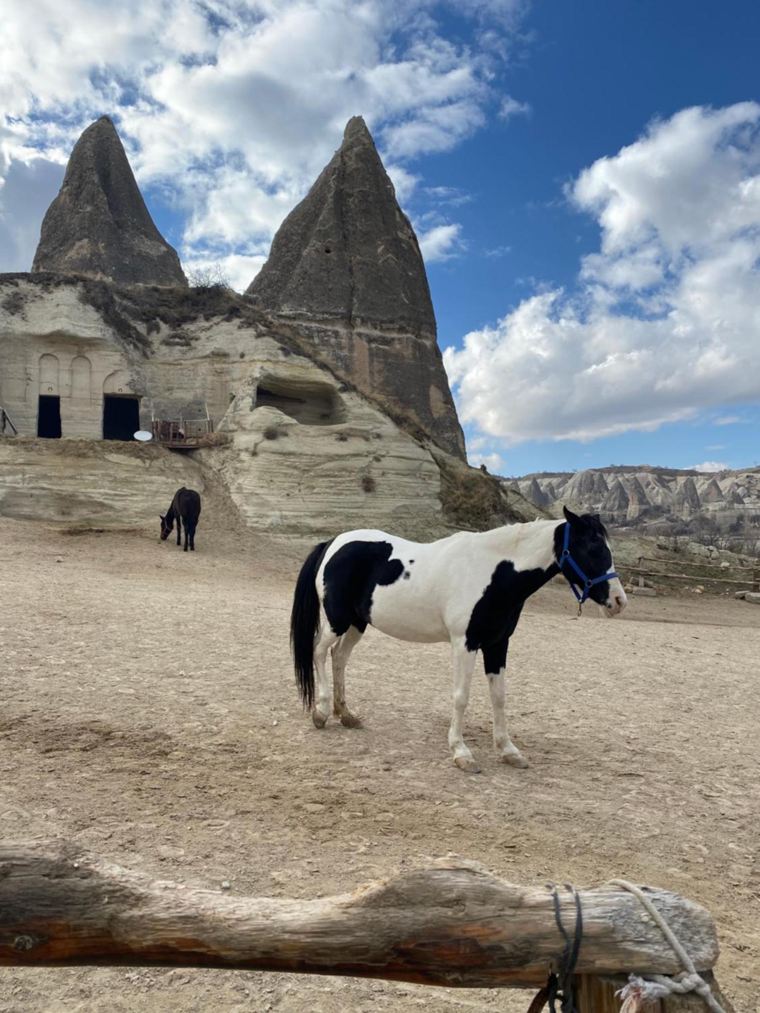 Sinasos Evleri Hotel Nevşehir Exterior foto